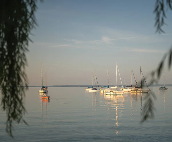 Voiliers Dans Port Lac Balaton Hongrie Été — Photo