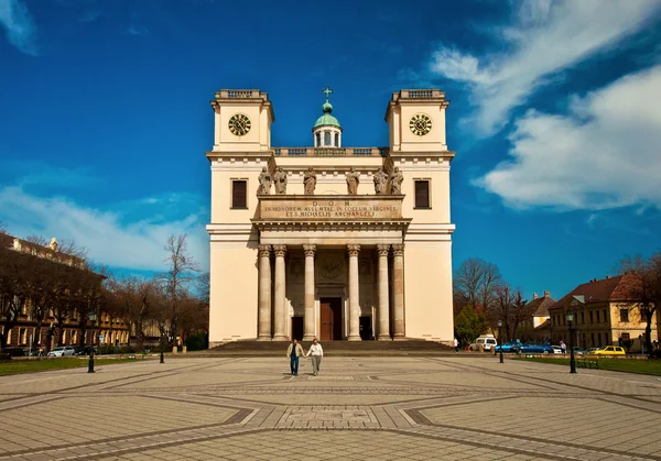 Kathedrale von Vác in Ungarn — Stockfoto