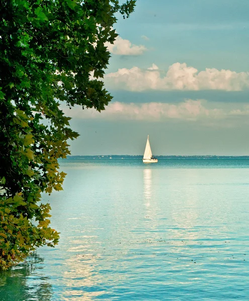 Fehér vitorláshajó a Balatonon — Stock Fotó