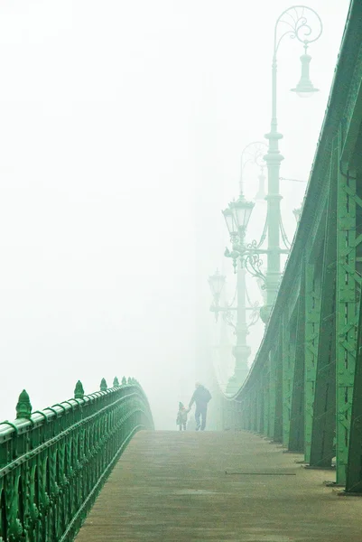 Liberty Bridge in Budapest, Hungary — Stock Photo, Image