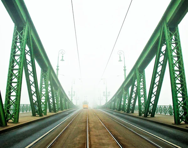 Liberty Bridge in Budapest, Hungary — Stock Photo, Image