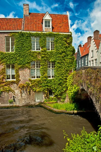 Domy podél kanálů brugge — Stock fotografie