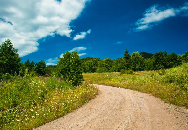 Road in the field with flowers — Stock Photo, Image