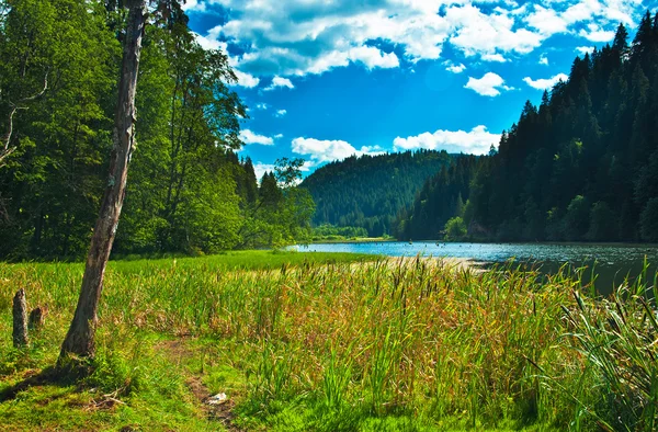 Červené jezero v Transylvánii — Stock fotografie