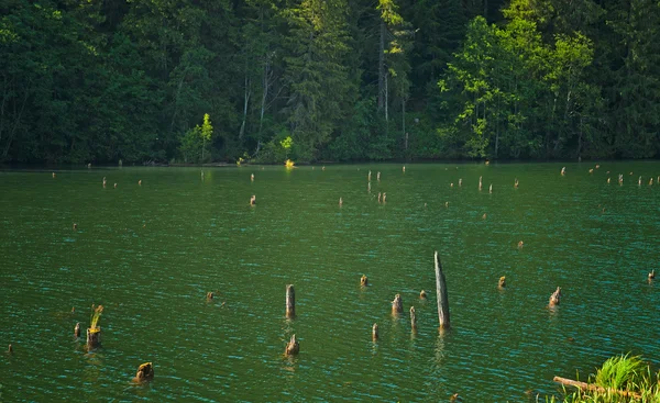 Red Lake in Transylvania — Stock Photo, Image