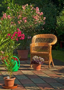Çiçek ve Bahçe sandalye