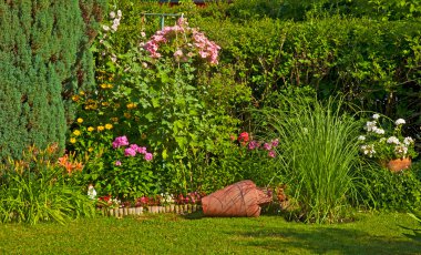 Bahçedeki güzel çiçekler.