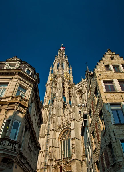 Cathedral in Antwerp  in Belgium — Stock Photo, Image