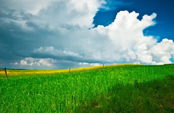 Prado com grandes nuvens — Fotografia de Stock