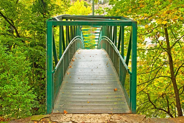 Parktaki köprü — Stok fotoğraf