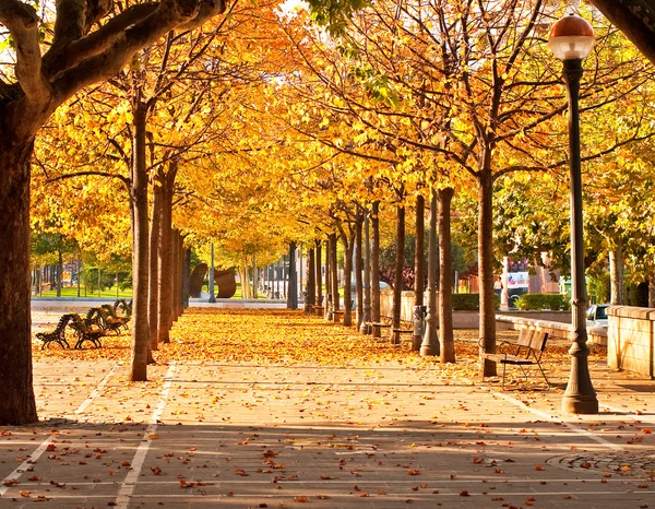 Park in autumn — Stock Photo, Image