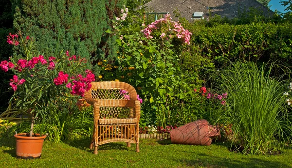 Wooden chair in the garden Royalty Free Stock Photos