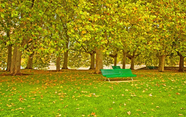 Nice parque no outono — Fotografia de Stock