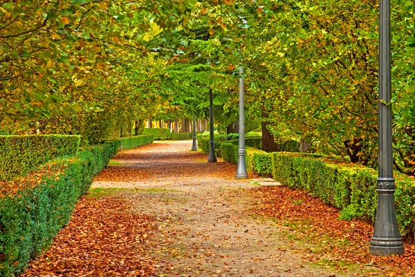 Parque en otoño —  Fotos de Stock