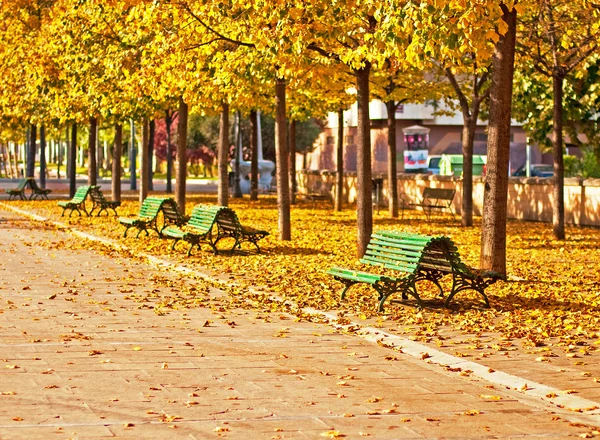 Park in autumn — Stock Photo, Image