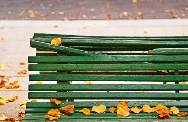 Bonito parque en otoño — Foto de Stock