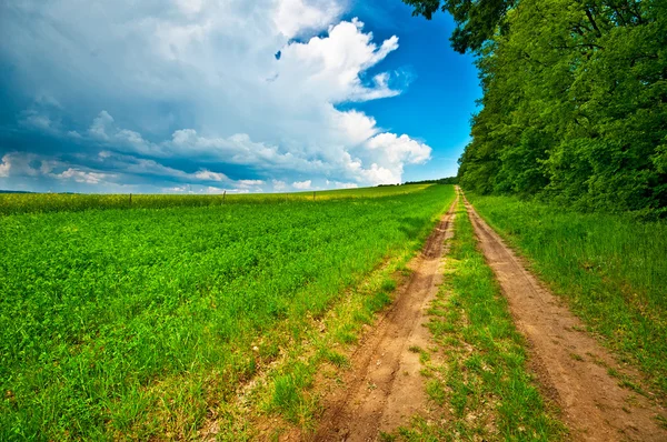 Road in the field — Stock Photo, Image