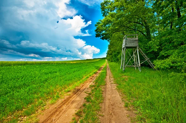 Väg på fältet — Stockfoto