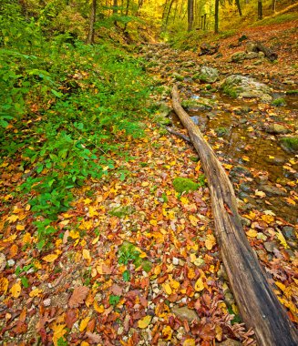 Bahar ile sonbahar park