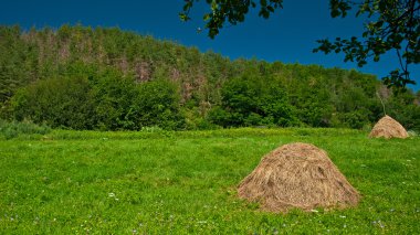 saman balya yerleştirilmiştir