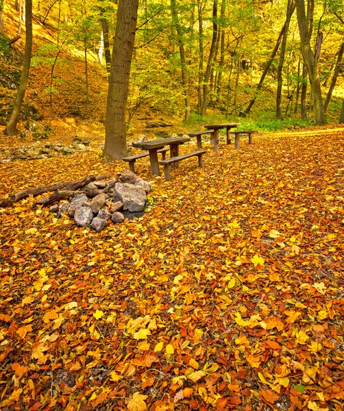 Parco autunnale con panchine — Foto Stock