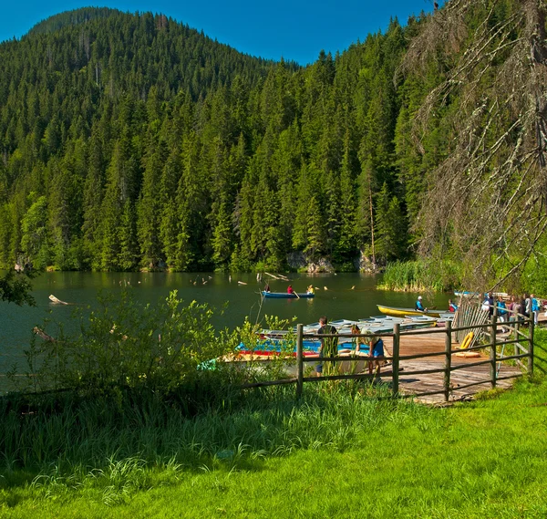 Orso del lago a Szovata — Foto Stock