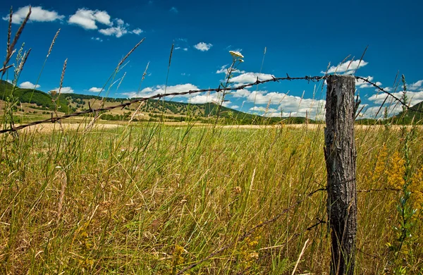 Nice field and fence — Stock Photo, Image