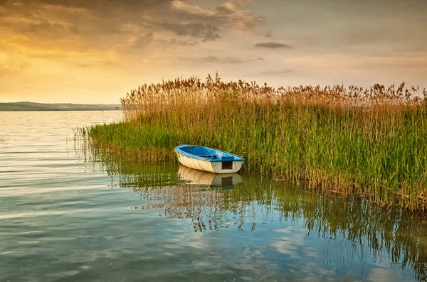 Hermoso paisaje con puesta de sol —  Fotos de Stock