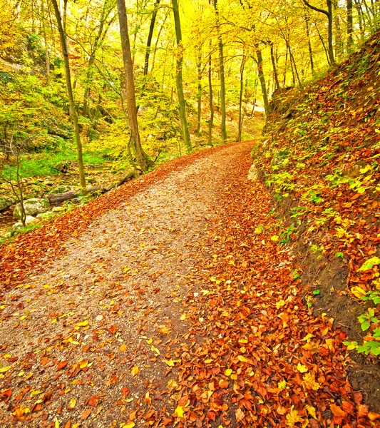 Podzimní park s stezka — Stock fotografie