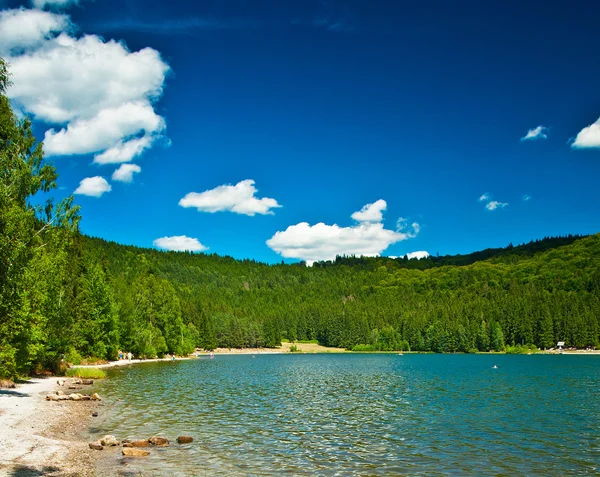 Lindo lago no verão — Fotografia de Stock