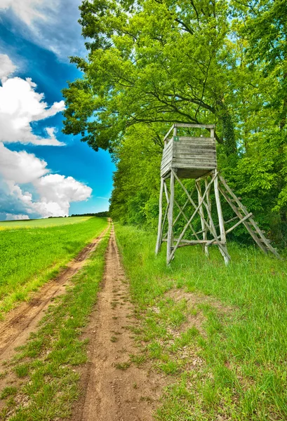 Cesta mezi pole a Les — Stock fotografie