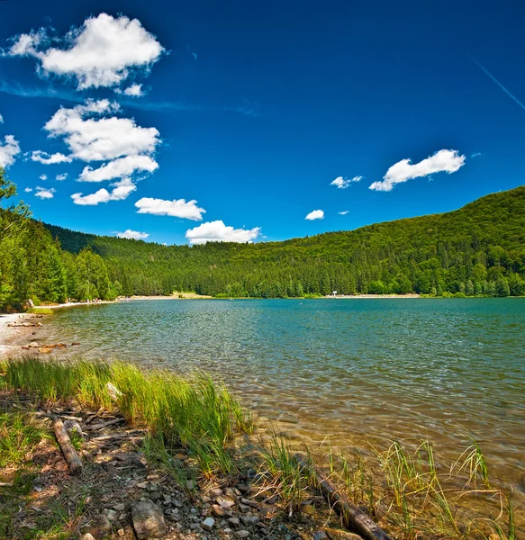 Bellissimo lago in estate — Foto Stock