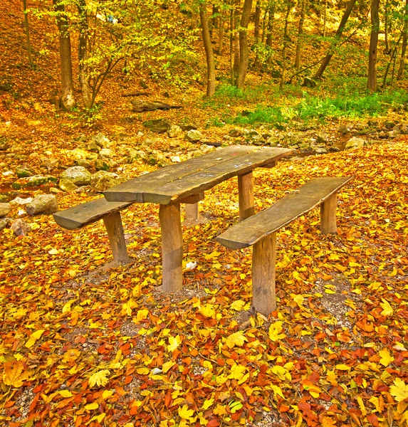 Осенний лес со столом — стоковое фото