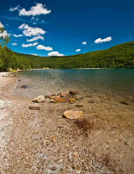 Beautiful Lake in summer — Stock Photo, Image