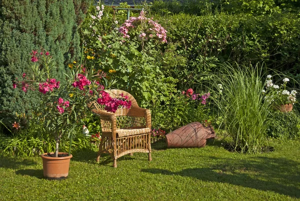 Beau jardin avec des fleurs — Photo