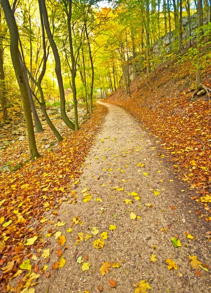 Autumn park with trail — Stock Photo, Image