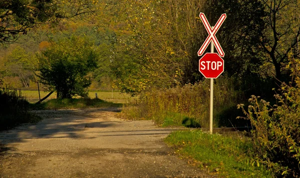 Forest and sign on road — Stock Photo, Image