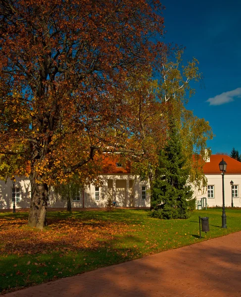 Cisterciensorden zirc abbey i zirc — Stockfoto