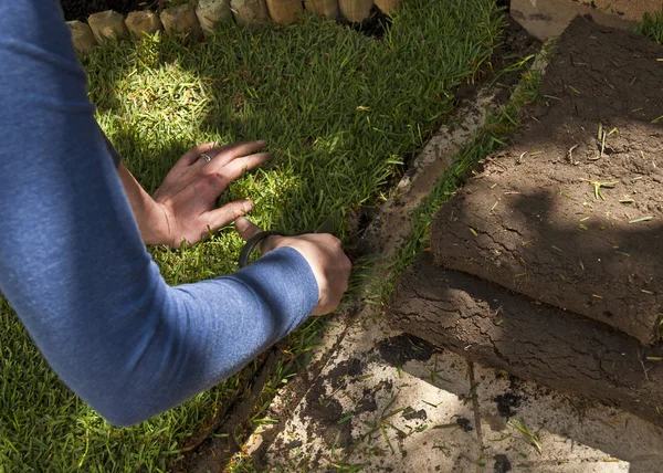 Trabajo humano en el jardín — Foto de Stock