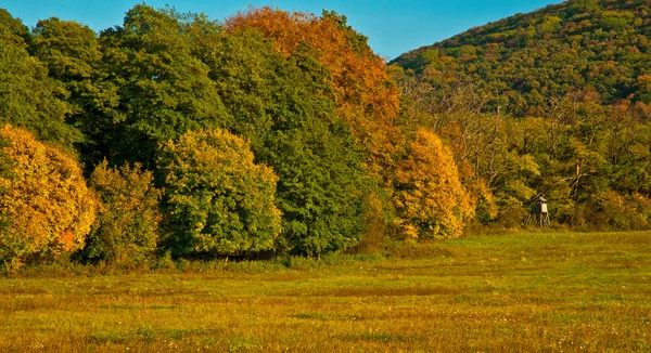 Nice autumnal scene — Stock Photo, Image