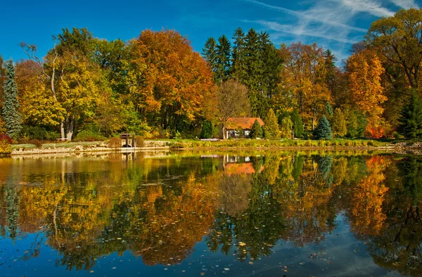 Schöne herbstliche Szene — Stockfoto