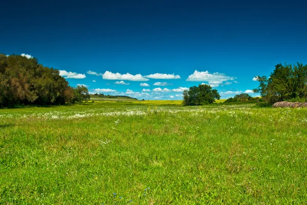 Perfekte farbenfrohe Landschaft — Stockfoto