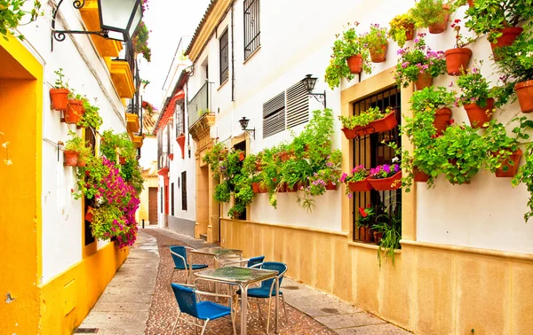 Pátio colorido em Córdoba — Fotografia de Stock