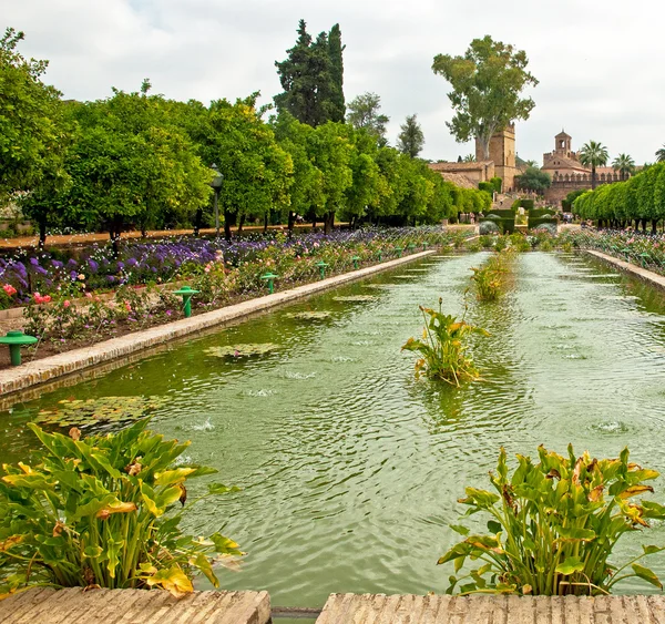 Gardens at the Alcazar de los Reyes Cristianos — Stock Photo, Image
