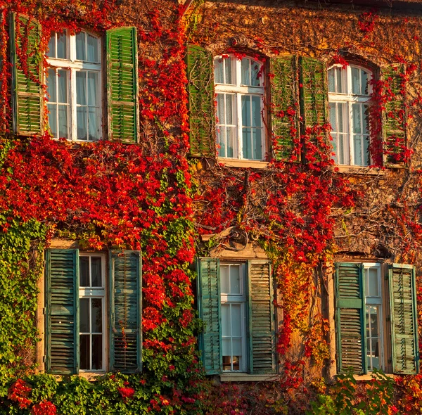 Colorful facade exterior — Stock Photo, Image