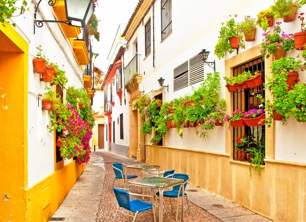 Kleurrijke Patio in Cordoba — Stockfoto