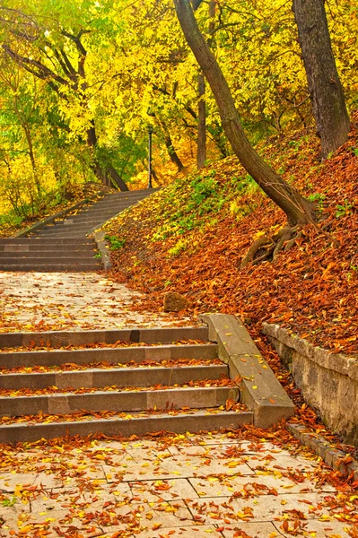 Goldener, lebendiger Herbst im Park — Stockfoto