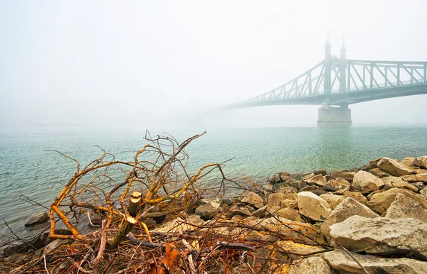 Řetězový most v Budapešti v zimě — Stock fotografie