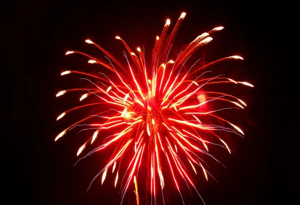 Fuegos artificiales de color en negro — Foto de Stock