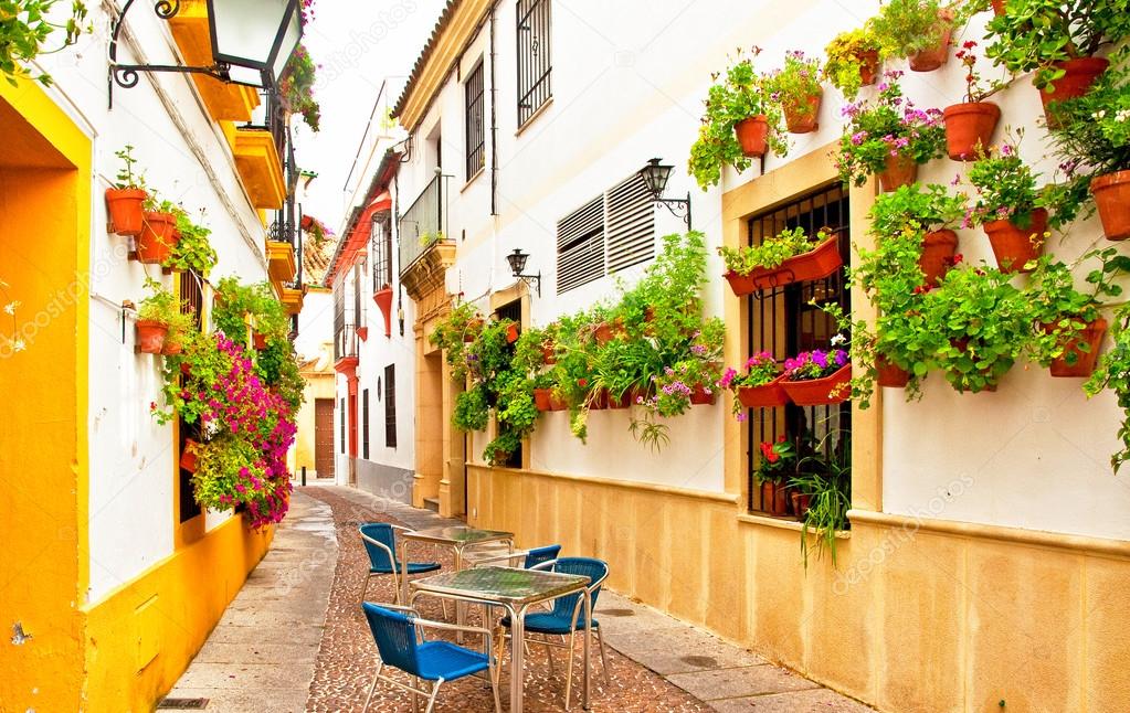 Colorful Patio in Cordoba